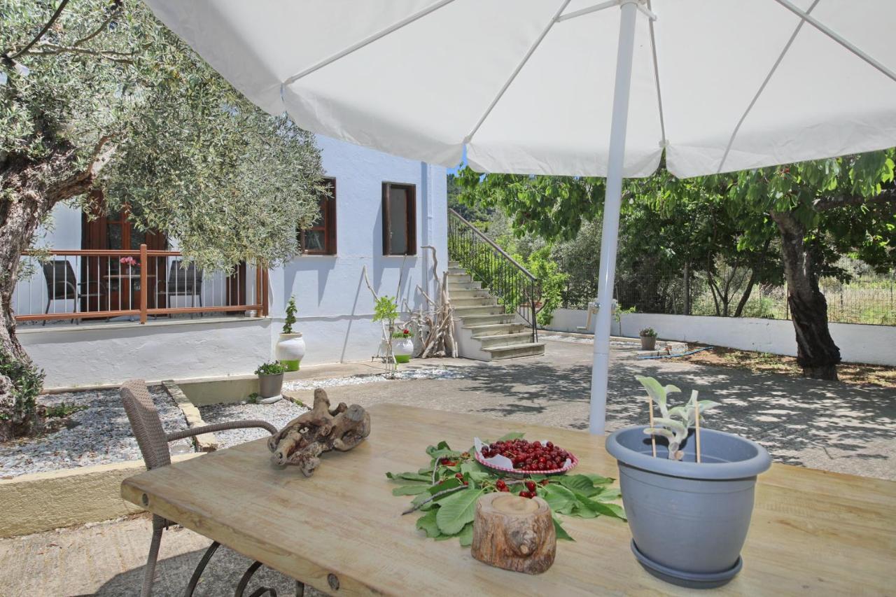 Skopelos Evergreen Apartments ستافيلوس المظهر الخارجي الصورة