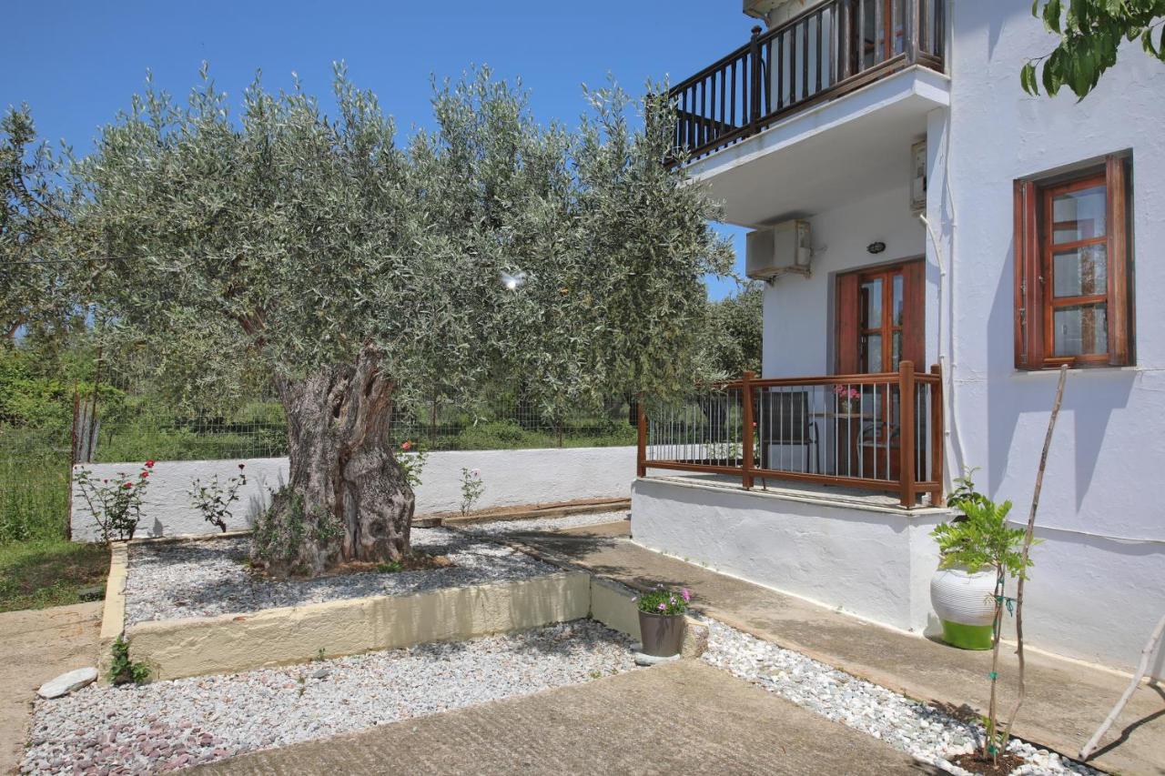 Skopelos Evergreen Apartments ستافيلوس المظهر الخارجي الصورة