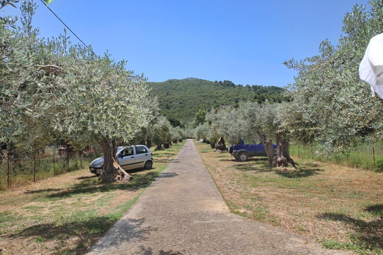 Skopelos Evergreen Apartments ستافيلوس المظهر الخارجي الصورة